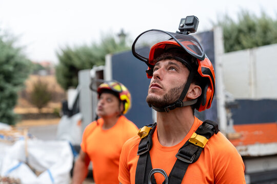 Arborist team working outdoors, wearing safety helmets and harnesses, looking at a tree for pruning
