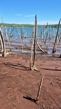 Detalhe de onda batendo na beira do lago, com &aacute;gua muito azul e ambiente cheio de troncos finos e secos de &aacute;rvores mortas. Parque Altamiro de Moura Pacheco.