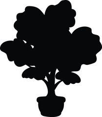 fiddle leaf fig tree silhouette