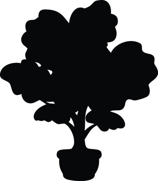 fiddle leaf fig tree silhouette