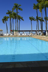 Verão com piscina e coqueiros