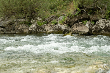 Scenic Mountain Stream with Clear Water and Rocky Banks