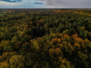 Obraz premium Aerial view of an autumn forest with colorful treetops and a wide horizon, autumn forest in the rain near 27798 Hude, Lower Saxony, Germany