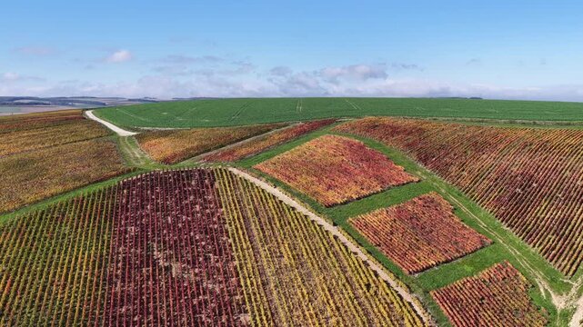vue a&eacute;rienne des vignobles des Riceys en Champagne. les parcelles color&eacute;es durant l'automne avec de belles couleurs et un ciel bleu. Le feuillage rouge et jaune des vignes sur les c&ocirc;teaux de ce site