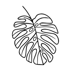 monstera leaf outline vector illustration