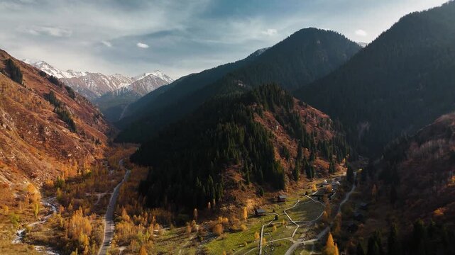 Aerial view panorama of yellow autumn forest in Almaty