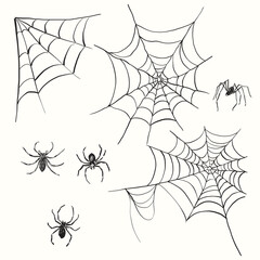 Vector Halloween set of spider and web. Hand-drawn happy holiday elements isolated on white background. Illustration for design, print or background.