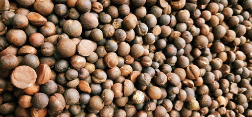 close up of a lot of brown organic seeds