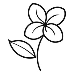 summersweet flower line art on white background