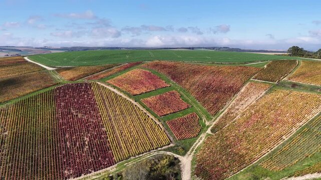 vue a&eacute;rienne des vignobles des Riceys en Champagne. les parcelles color&eacute;es durant l'automne avec de belles couleurs et un ciel bleu. Le feuillage rouge et jaune des vignes sur les c&ocirc;teaux de ce site