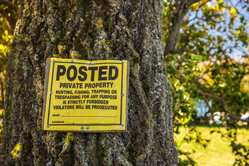 Yellow posted private property sign nailed to a tree trunk, warning against trespassing, hunting,...