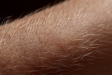 Naklejka premium The delicate skin of a young child's arms, with their fine hairs, conveys a sense of natural gentleness.