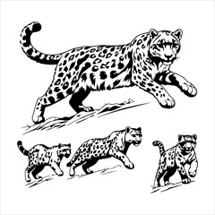 Modern Flat Design Jumping Animal Illustration Vector Icons, A Vibrant Set Showcasing Wild Life, Action, and Movement for Digital Sport and Fitness Apps.