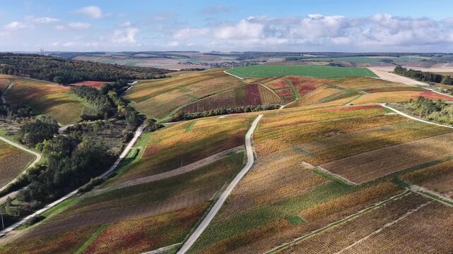 vue a&eacute;rienne des vignobles des Riceys en Champagne. les parcelles color&eacute;es durant l'automne avec de belles couleurs et un ciel bleu. Le feuillage rouge et jaune des vignes sur les c&ocirc;teaux de ce site