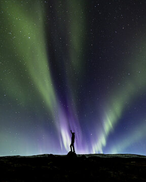 View of a lone silhouette reaching up at the ethereal dance of the aurora borealis, painting the night sky with vibrant greens and purples, Reykjav&iacute;k, Aurora Borealis, Iceland.