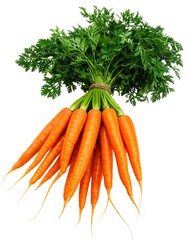 A bundle of fresh, orange carrots with vibrant green tops, tied together with twine, against a white backdrop