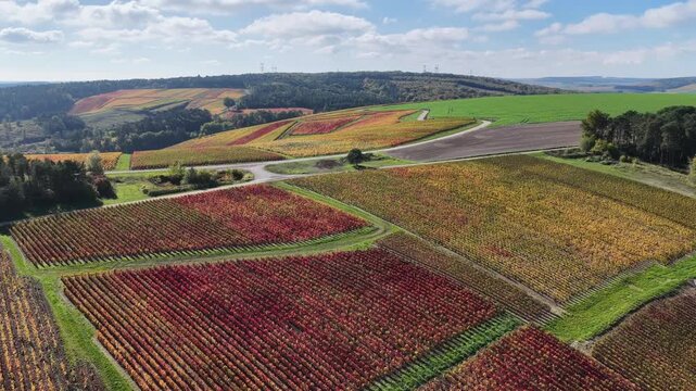 vue a&eacute;rienne des vignobles des Riceys en Champagne. les parcelles color&eacute;es durant l'automne avec de belles couleurs et un ciel bleu. Le feuillage rouge et jaune des vignes sur les c&ocirc;teaux de ce site