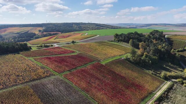 vue a&eacute;rienne des vignobles des Riceys en Champagne. les parcelles color&eacute;es durant l'automne avec de belles couleurs et un ciel bleu. Le feuillage rouge et jaune des vignes sur les c&ocirc;teaux de ce site