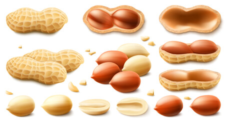 Set of whole and half peanuts, isolated on white background. For packaging with peanut butter, mix of nuts. Vegetable protein for vegetarians, healthy product. Realistic vector 3D illustration.