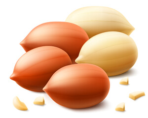 Set of shelled and unshelled peanuts, isolated on white background. For packaging with peanut butter, mix of nuts. Vegetable protein for vegetarians, healthy product. Realistic vector 3D illustration.