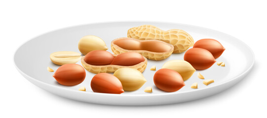 Shelled and unshelled peanuts on a white plate, isolated on white background. For packaging with peanut butter, mix of nuts. Vegetable protein for vegetarians. Realistic vector 3D illustration.