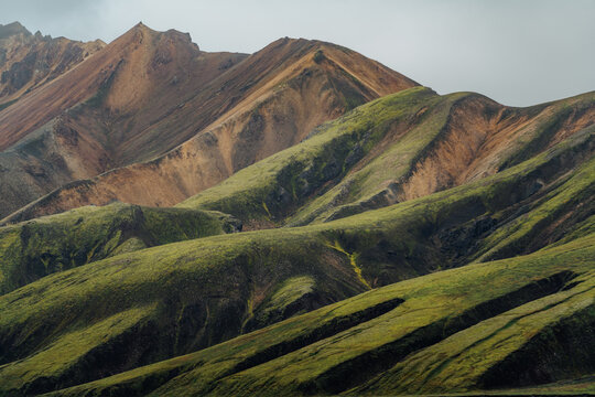 View of rolling hills painted with vibrant green moss and earthy brown hues, contrasting under a soft, overcast sky, Landmannalaugar, Rang&aacute;rping ytra, Iceland.