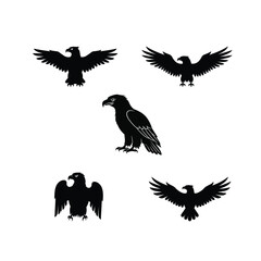 Soaring Eagle Vector Illustration