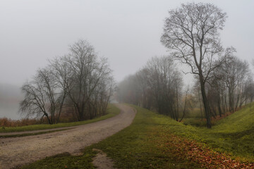 Countryside dirt road in the fog.