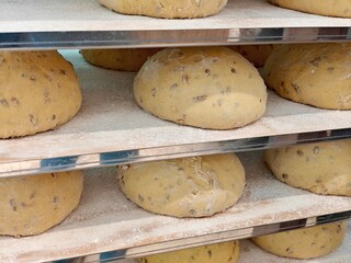 Organic natural sourdough breads ready for baking