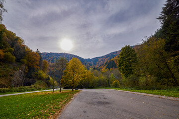 Fototapeta premium a mountain road during autumn with colorful trees