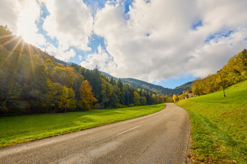 a mountain road during autumn with colorful trees