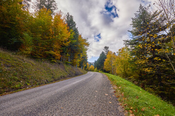 Fototapeta premium a mountain road during autumn with colorful trees