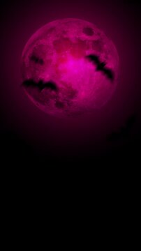 sfondo, video, 4k, pipistrelli, halloween, notte,  stormo di pipistrelli,  luna piena