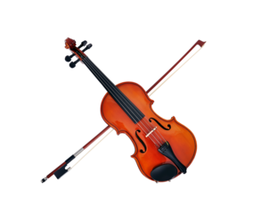 Wood violin and bow