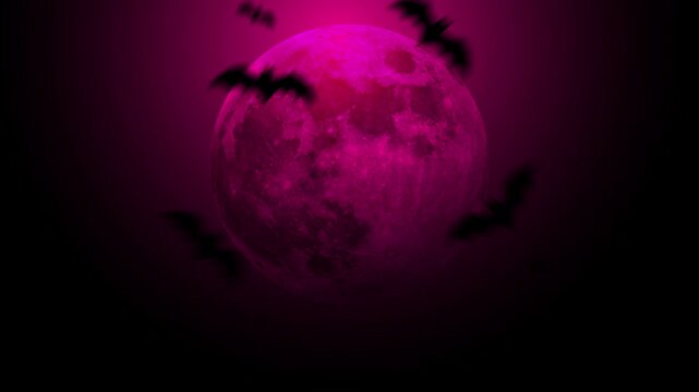 sfondo, video, 4k, pipistrelli, halloween, notte,  stormo di pipistrelli,  luna piena