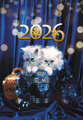 2026 Merry Christmas and Happy New Year