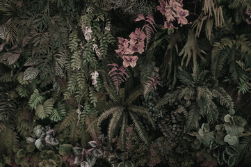 Leaves in the park concept dark green black background image(PHOTO)	
