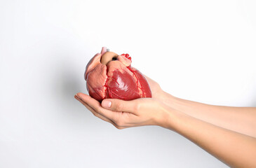 Cuore tra le mani, concetto di donazione organi e testamento biologico