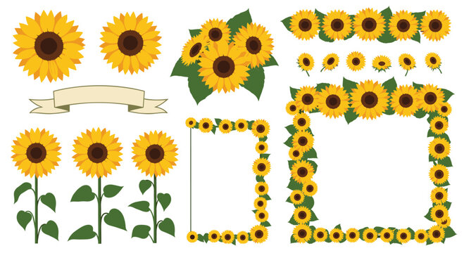 Colorful array of sunflower vector elements, showcasing individual flowers, bouquets, decorative frames, borders, and a blank ribbon banner.
