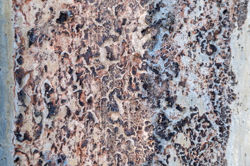 Close-up of rusty metal texture in various shades of brown and orange