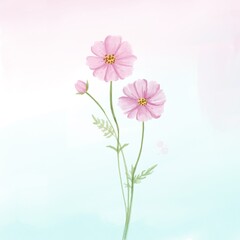 Delicate Pink Cosmos Flower Watercolor Illustration on Soft Pastel Background