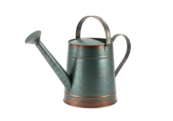 Isolated watering can with handle and rose spigot for watering gardening flowers crops