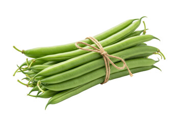 Isolated bundle of green beans tied with twine string for sale at grocery store, organic and fresh