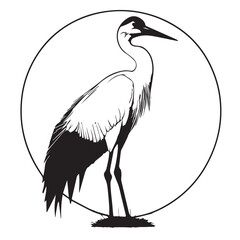 stork on a white background