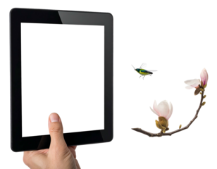 Hand holds a tablet with a blank white screen, a bird flies near pink flower branch on dark background