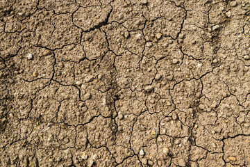 Dry cracked earth surface displaying intricate patterns and textures, highlighting the effects of drought and environmental changes on soil quality and landscape resilience