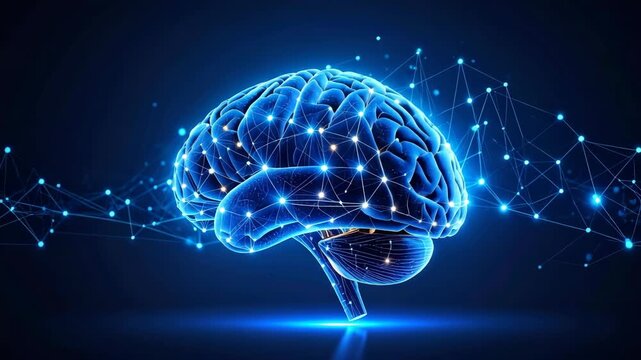 Illuminated anatomical human brain model showing neural network connections on dark blue background representing intelligence