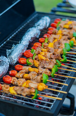 Grill and BBQ for eating on your holiday  Barbecue grill on vacation