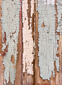 Close-up of weathered wooden planks with peeling gray-green paint. Aged surface with cracks and flaking layers revealing the natural brown wood beneath. Rustic and textured background