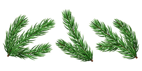 Vector realistic pine tree branch for Christmas and New Year design isolated on a transparent background. Holiday fir tree branch for winter banner, poster, greeting card. © AlyxArt